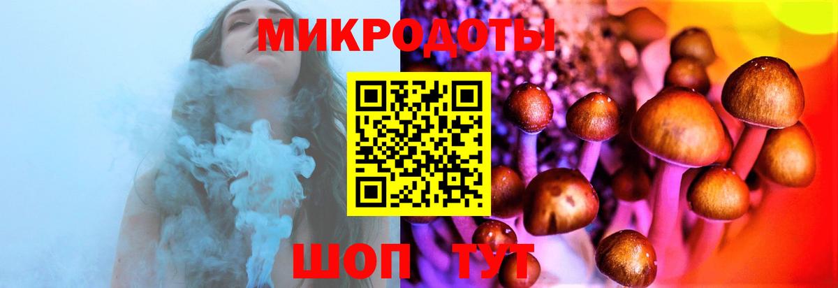 Галлюциногенные грибы Psilocybe Лобня